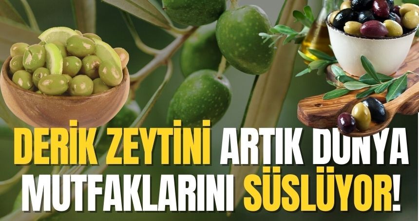 Derik Zeytini artık dünya mutfaklarını süslüyor!