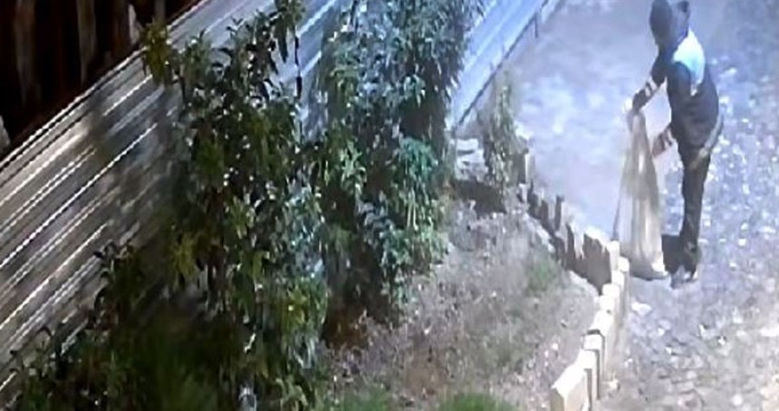 Kedileri torbaya koyup cami avlusuna bıraktı