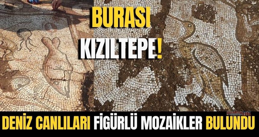 Kızıltepe'de yapılan kazıda deniz canlıları figürlü mozaikler bulundu