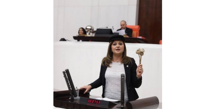 Burcu Köksal kimdir? Burcu Köksal Nereli? Burcu Köksal Açıklaması? burcu Köksal Sarımsak Eylemi?