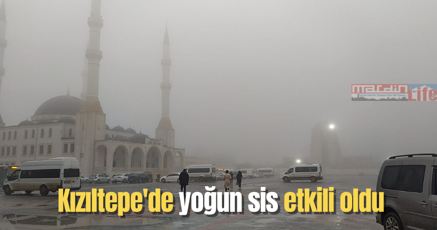 Kızıltepe'de yoğun sis etkili oldu