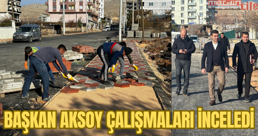 Başkan Aksoy çalışmaları inceledi
