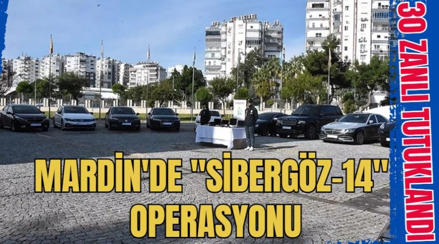 Mardin'de "SİBERGÖZ-14" operasyonu  yakalanan 30 zanlı tutuklandı