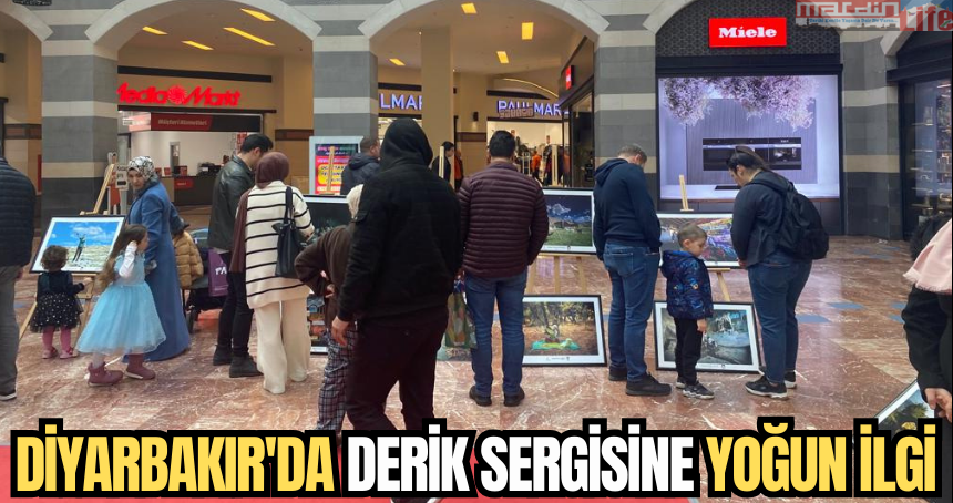 Diyarbakır'da Derik sergisine yoğun ilgi