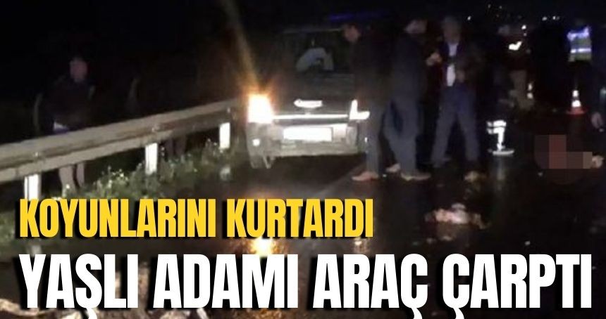 Koyunlarını otlatan yaşlı adam ağır yaralandı!