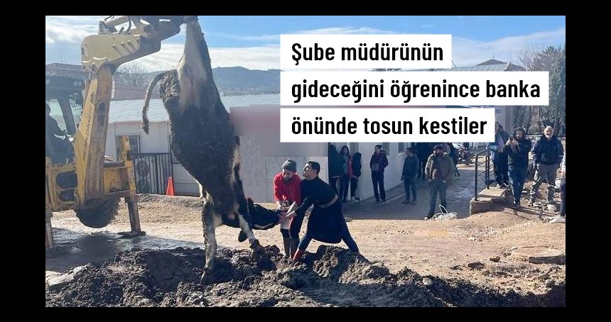 Banka müdürünün tayininin çıkmasını tosun keserek kutladı