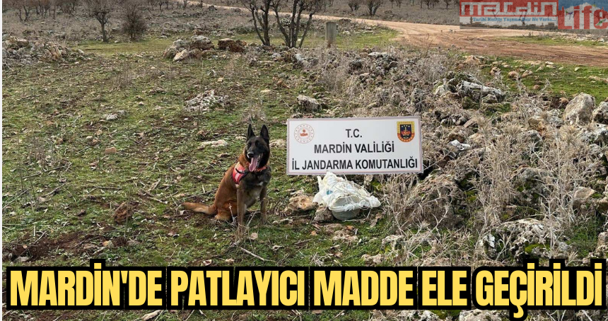 Mardin'de patlayıcı madde ele geçirildi