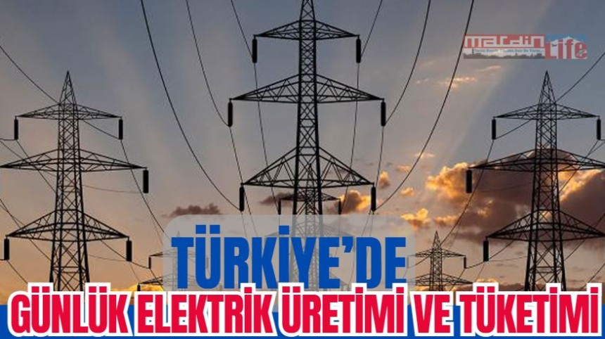 Türkiye'de Günlük Elektrik Üretimi ve Tüketimi