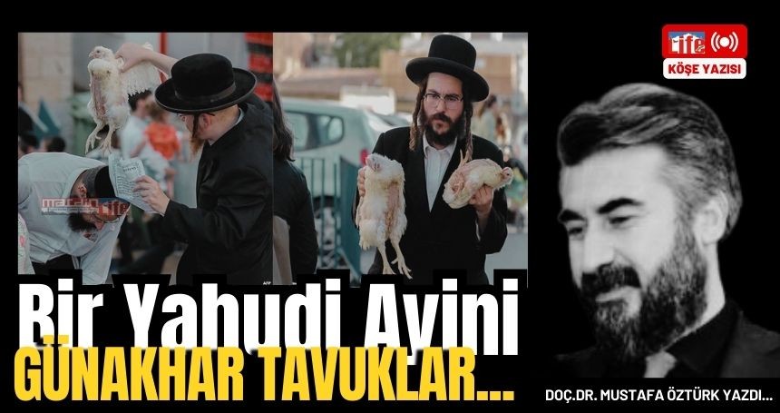 Günahkar Tavuklar