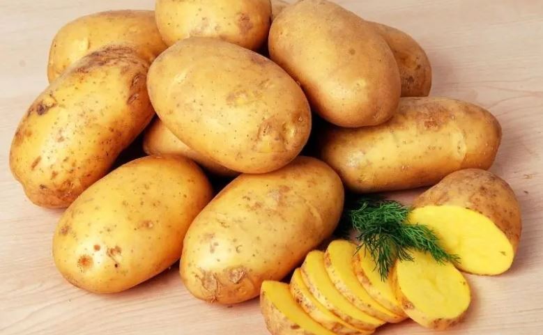 Patatesi böyleyken sakın tüketmeyin ‘Zehir saçtığı ortaya çıktı’