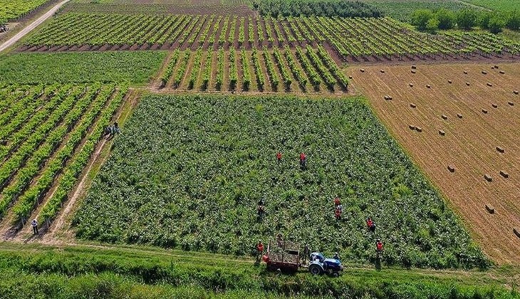 Milyonlarca çiftçinin beklediği başvurular başladı