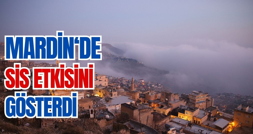 Mardin'de sis etkili oldu