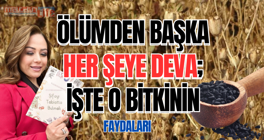 Ölümden başka her şeye deva; İşte o bitkinin faydaları