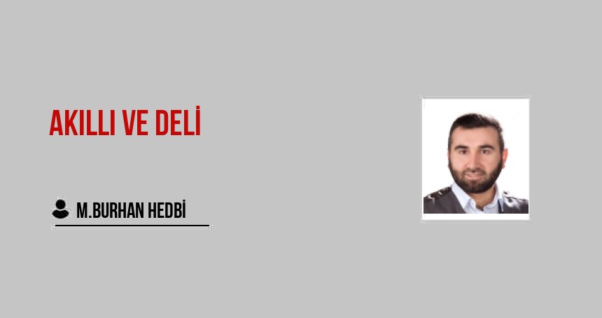 Akıllı ve Deli