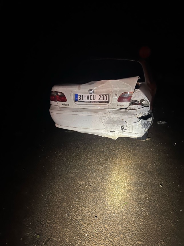 Mardin'de kaza! 2 yaralı