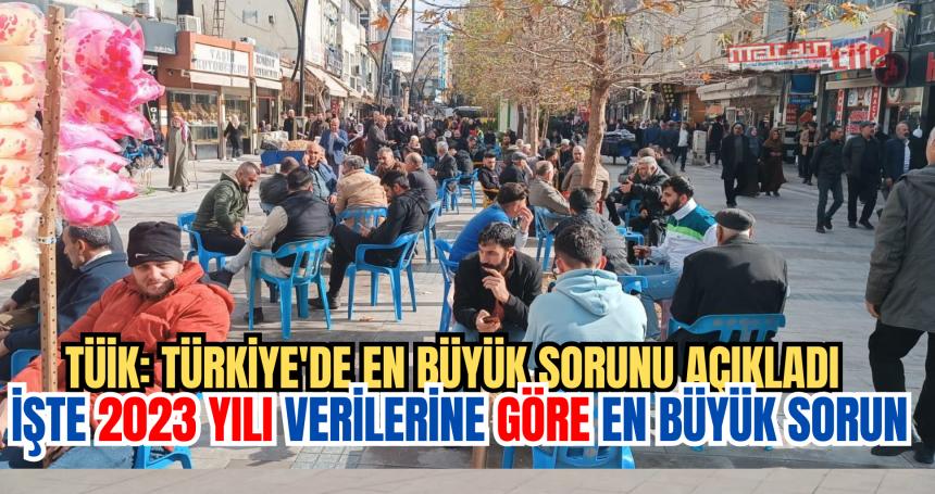 TÜİK: Türkiye'de en büyük sorunu açıkladı İŞTE Türkiye'nin en büyük sorunu