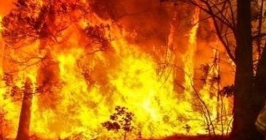 Avustralya'da orman yangınları nedeniyle binlerce kişi tahliye edildi