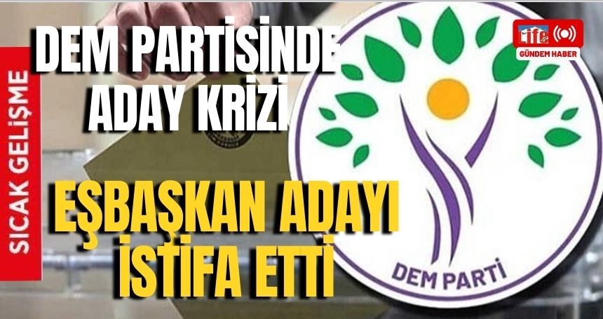 Dem Partisinde aday krizi