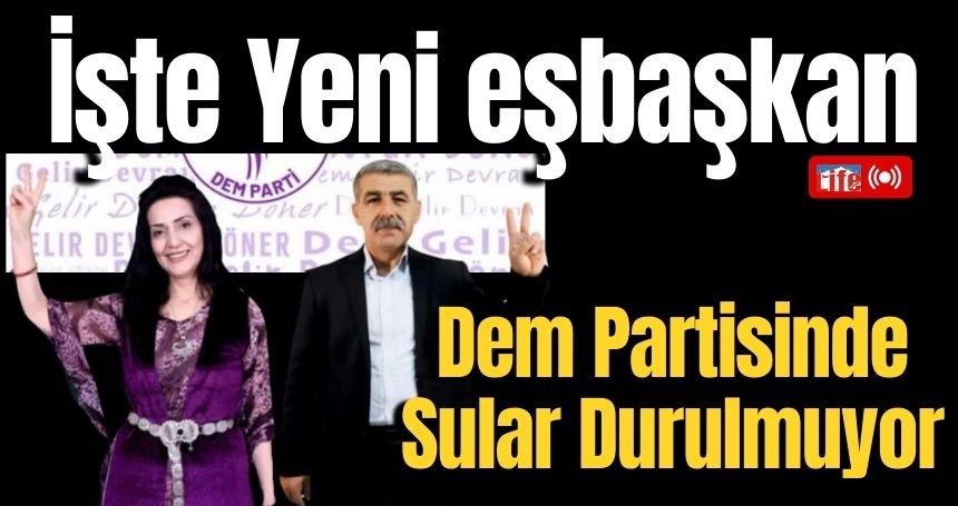 Dem Partisinde yeni eşbaşkan adayı belli oldu!