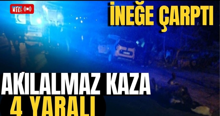 Mardin'de ineğe otomobil çarptı: İnek öldü, 4 kişi yaralandı