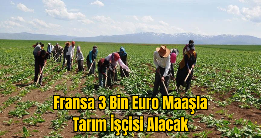 Fransa 3 Bin Euro Maaşla İşçi Alacak