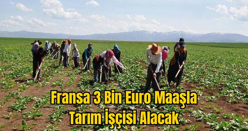 Fransa 3 Bin Euro Maaşla  İşçi Alacak