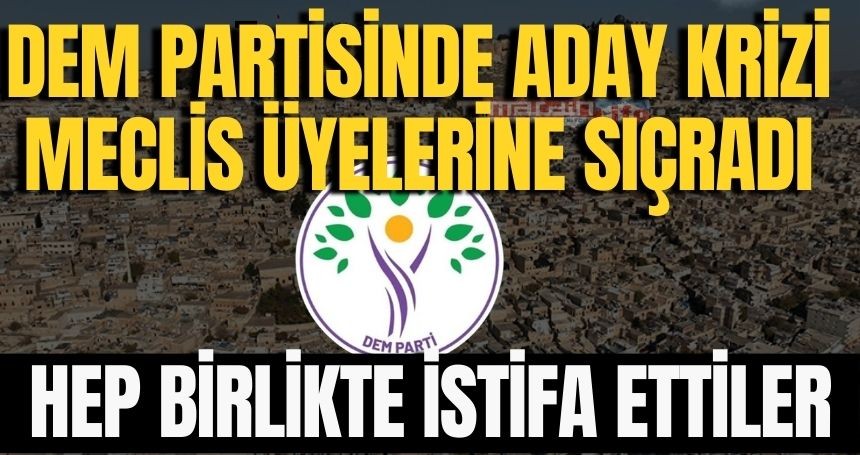 DEM Partisinde ŞOK İstifa