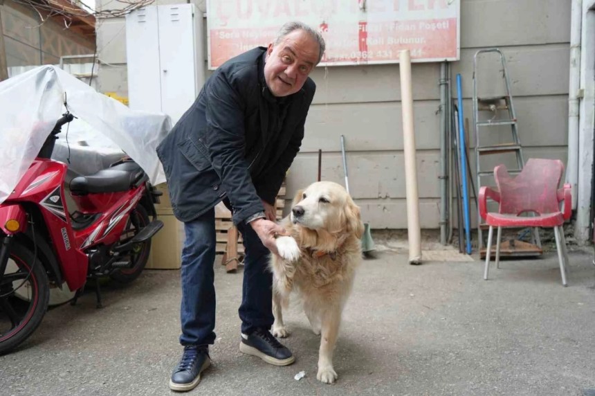 Köpeğin doktora havlaması sahibine 700 bin TL'ye patladı