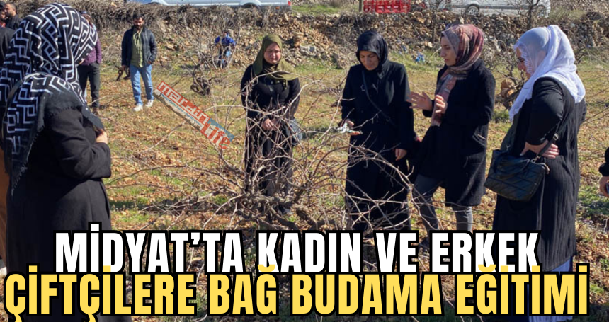 Midyat'ta bilinçli üretim için kadın ve erkek çiftçilere bağ budama eğitimi