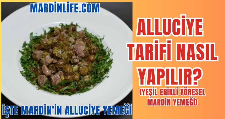 Alluciye (Yeşil Erikli Yöresel Mardin Yemeği) Tarifi Nasıl Yapılır?