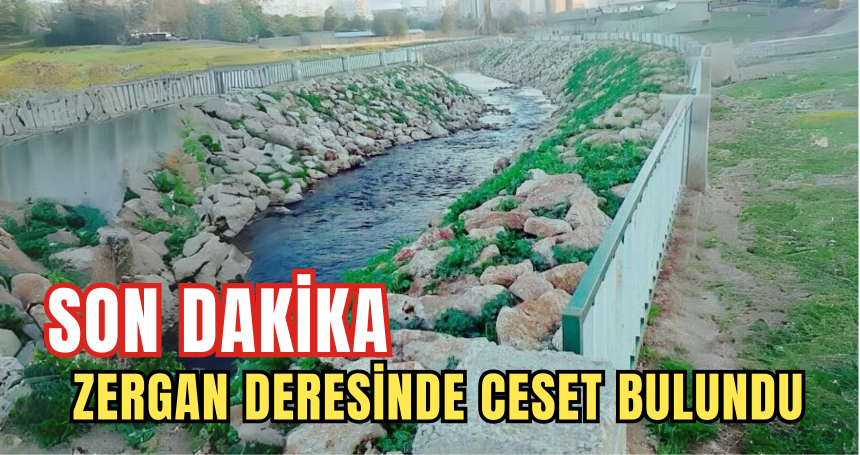 Son Dakika! Kızıltepe’de ceset bulundu