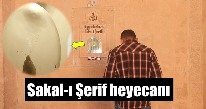 Sakal-ı Şerif heyecanı