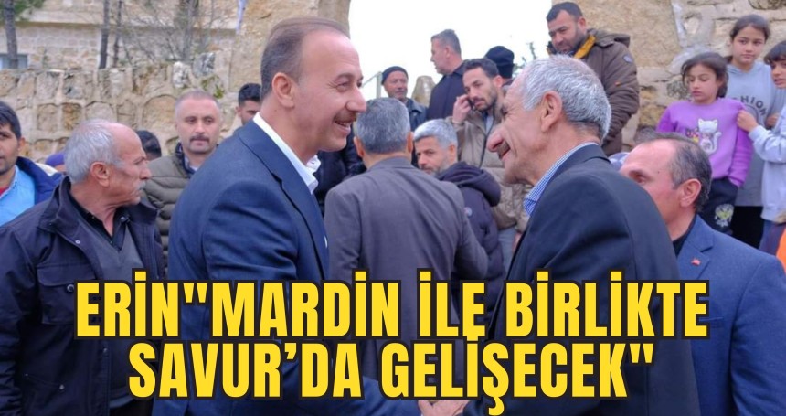 Erin"Mardin ile birlikte Savur’da gelişecek"