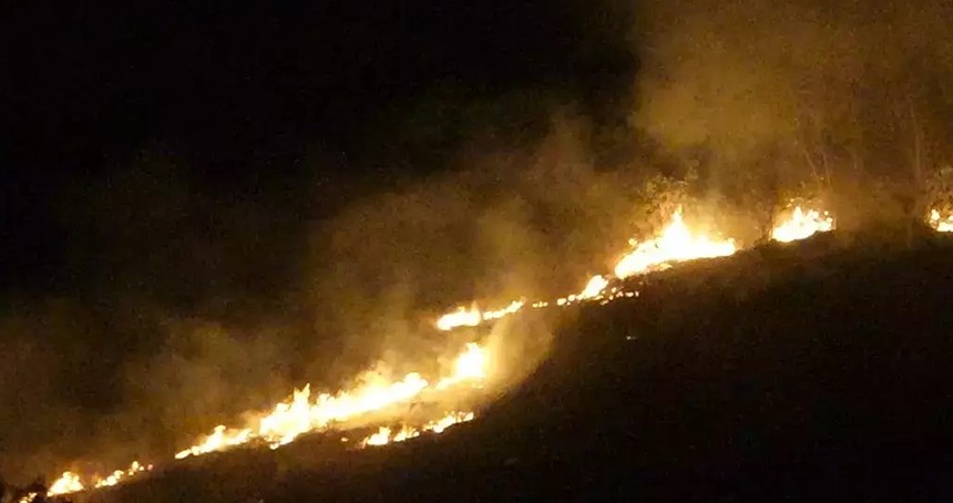  Trabzon'da orman yangını