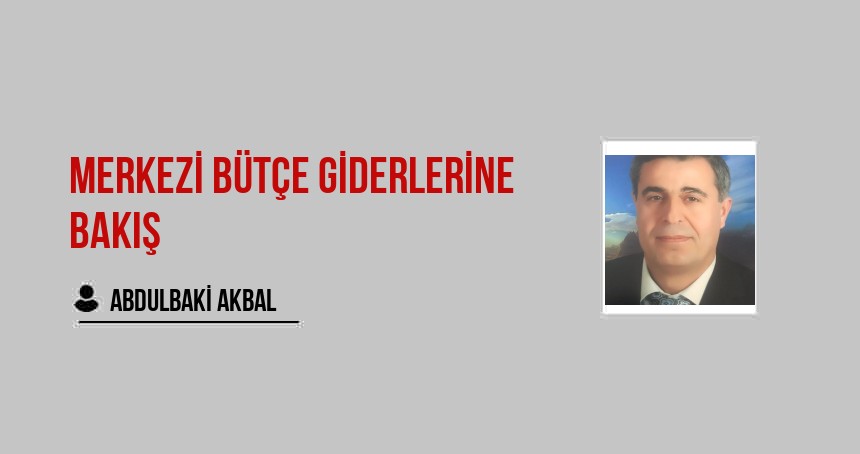 Merkezi Bütçe Giderlerine Bakış