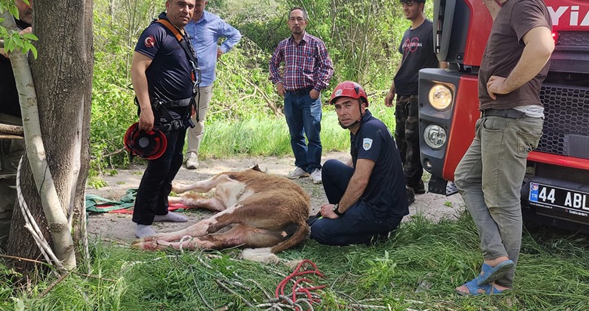 Malatya'da kuyuya düşen inek itfaiye ekipleri tarafından kurtarıldı