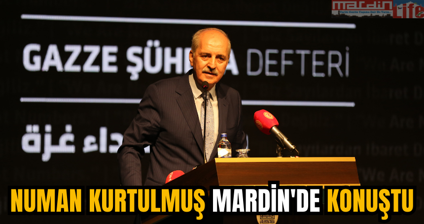 Numan Kurtulmuş, Mardin'de konuştu: