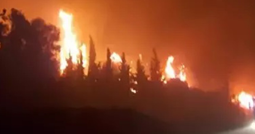 Samsun'da orman yangını 