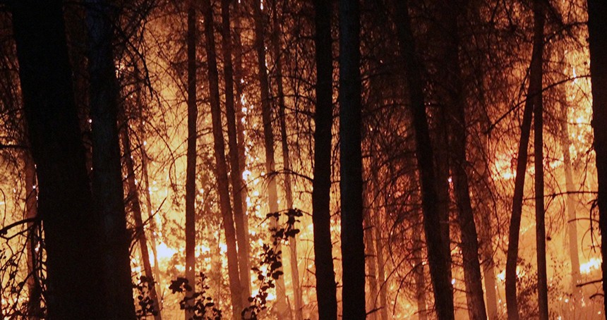 Tokat'ta orman yangın 