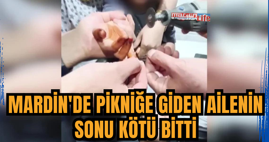 Mardin'de pikniğe giden ailenin sonu kötü bitti
