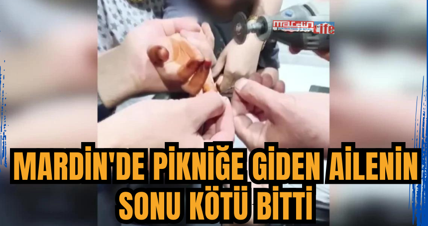 Mardin'de pikniğe giden ailenin  sonu kötü bitti