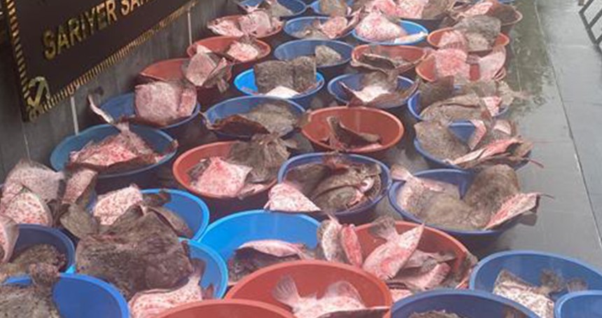 Yasa dışı balık avcılarına 351 bin lira ceza kesildi