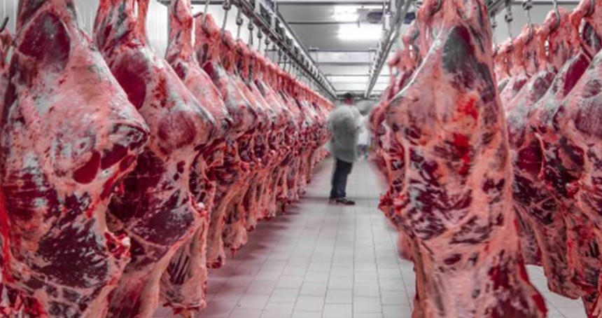 Kırmızı et üretiminin yüzde 70'ini sığır eti oluşturdu
