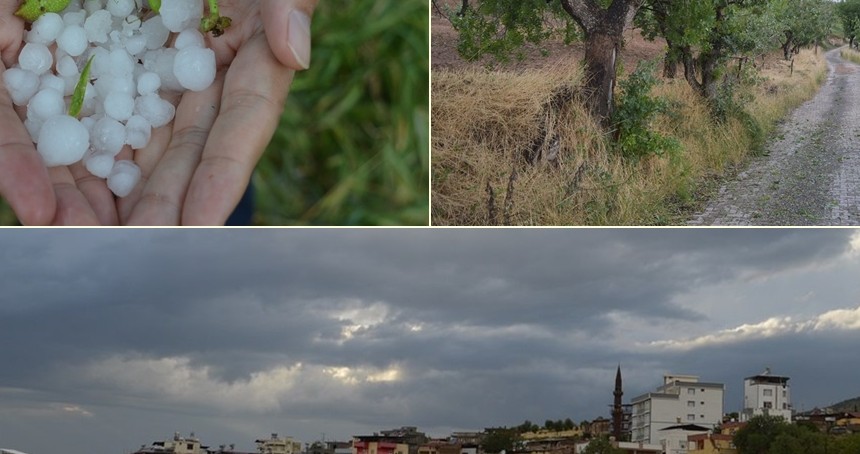 Siirt'te dolu yağışı fıstık üreticilerini mağdur etti 
