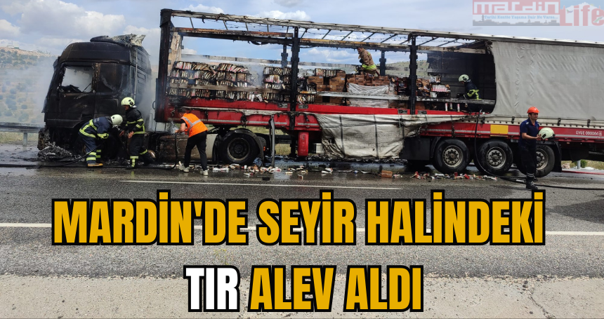 Mardin'de seyir halindeki tır alev aldı