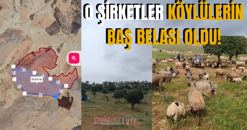 O şirketler köylülerin baş belası oldu!