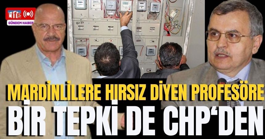 Mardinlilere hakaret eden profesöre bir tepki de CHP'den