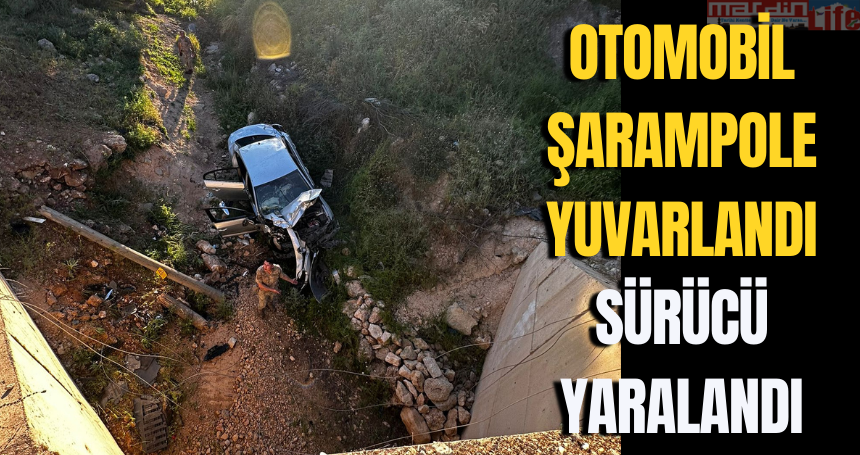 Otomobil şarampole yuvarlandı, sürücü yaralandı