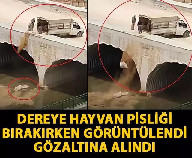 Çuvallar dolusu pisliği dereye döktüler