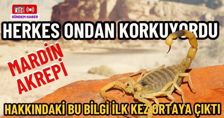 Yüzyıllardır Mardin topraklarında geziyordu... Herkesin korktuğu bu hayvan hakkındaki bilgi ilk kez ortaya çıktı